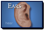 Ears: Tone Concepts