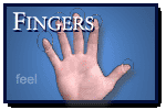 Fingers: Exercises and Techniques